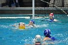 WWPolo vs CC  Wheaton College Women’s Water Polo compete in their sports inaugural match vs Connecticut College. - Photo By: KEITH NORDSTROM : Wheaton, water polo, inaugural